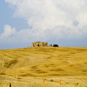 被❌到爽🔞流软国产
